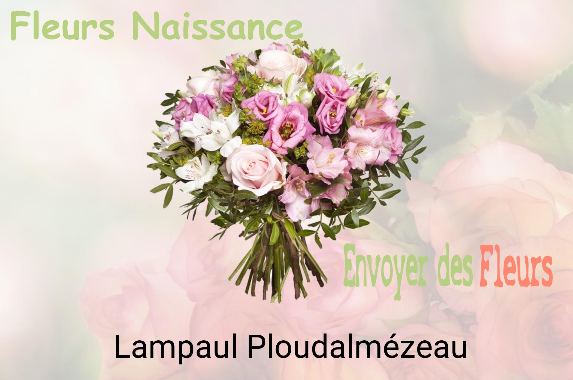 Bouquet de fleurs de naissance livré à Lampaul-Ploudalmézeau